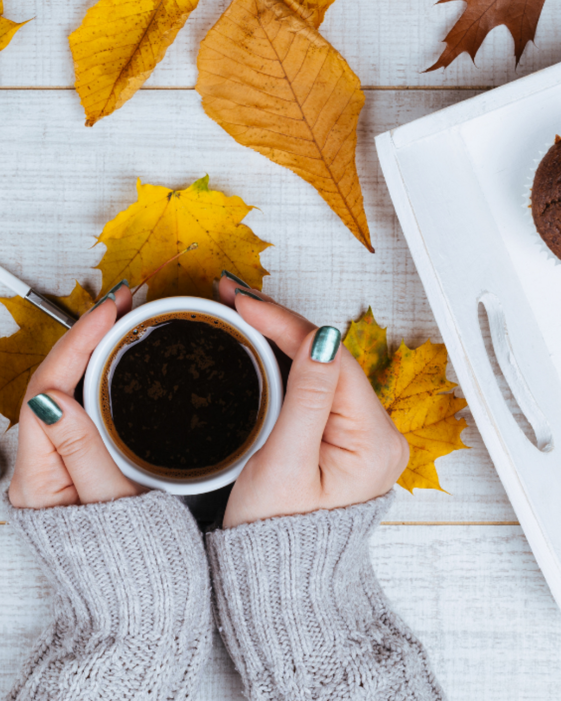 Como cuidar de si no outono